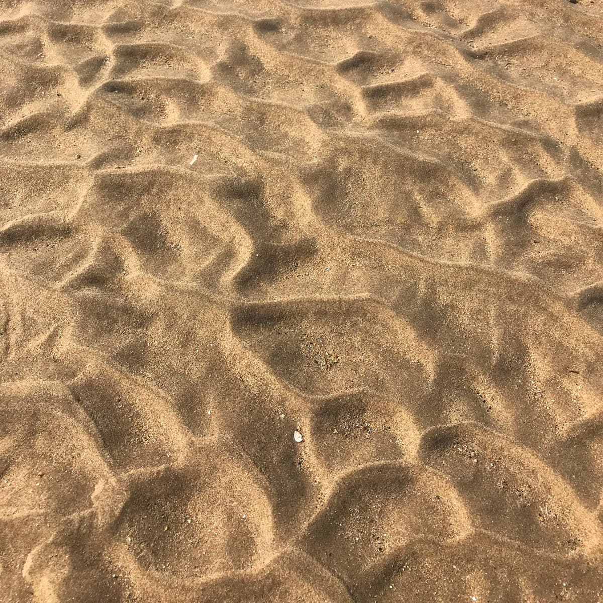 Patterns in the sand